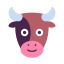 cow