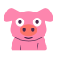 pig
